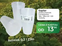 Tamda Foods Sapler plastový kelímek transparentní nabídka