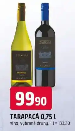 Trefa Tarapacá vino, vybrané druhy nabídka
