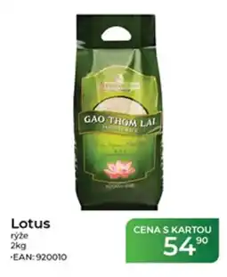 Tamda Foods Lotus rýže nabídka