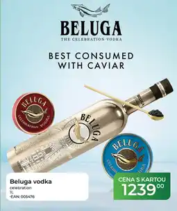 Tamda Foods Beluga celebration nabídka