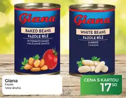 Tamda Foods Giana fazole nabídka