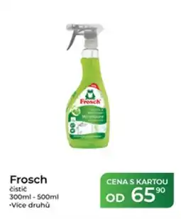 Tamda Foods Frosch čistič nabídka