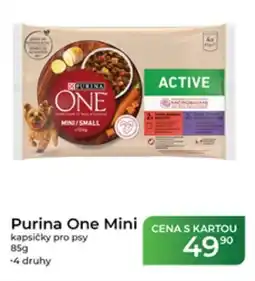Tamda Foods Purina One Mini nabídka