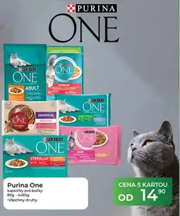Tamda Foods Purina One kapsičky pro kočky nabídka