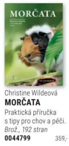 Knižní klub Morčata nabídka