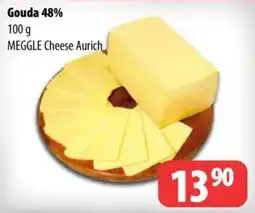 Partner Maloobchodní síť Meggle gouda 48% nabídka