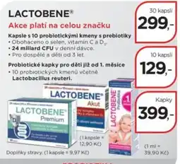 Magistra lékárny Lactobene kapsle s 10 probiotickými kmeny s prebiotiky nabídka