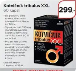 Magistra lékárny Swissmed kotvičník tribulus xxl nabídka