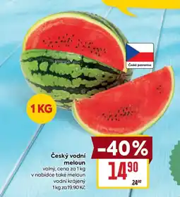 Billa Český vodní meloun nabídka