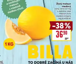 Billa Billa žlutý meloun medový nabídka