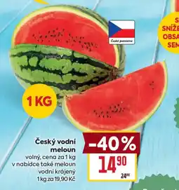 Billa Český vodní meloun nabídka