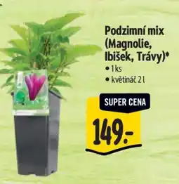 Albert Podzimní mix (Magnolie, Ibišek, Trávy) nabídka