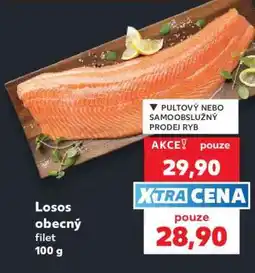 Kaufland Losos obecný filet 100 g nabídka