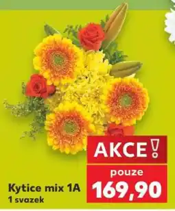 Kaufland Kytice mix 1A nabídka
