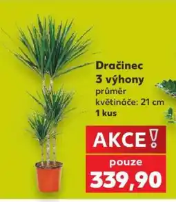 Kaufland DRAČINEC nabídka