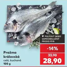 Kaufland Pražma královská nabídka