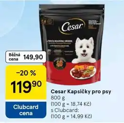 Tesco CESAR KAPSIČKY PRO PSY nabídka