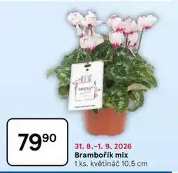 Tesco Brambořík mix nabídka