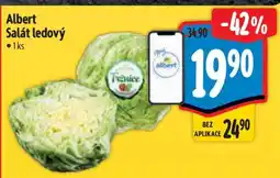 Albert Albert Salát ledový nabídka
