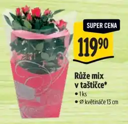 Albert Růže mix v taštičce nabídka
