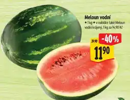 Albert MELOUN VODNÍ nabídka