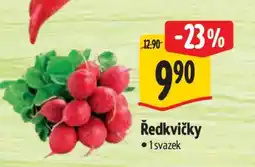 Albert Ředkvičky nabídka