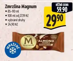 Albert Zmrzlina Magnum nabídka