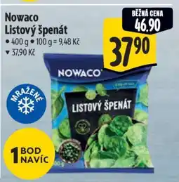 Albert Nowaco Listový špenát nabídka