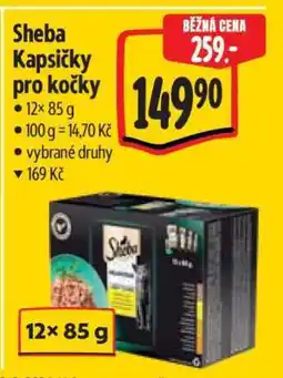 Albert Sheba kapsičky pro kočky nabídka