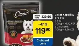 Tesco Cesar kapsicky pro psy nabídka