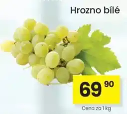 Kubík potraviny Hrozno bílé nabídka