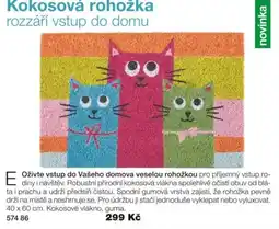Decodoma Kokosová rohožka nabídka