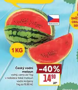 Billa Český vodní meloun volný, cena za nabídka