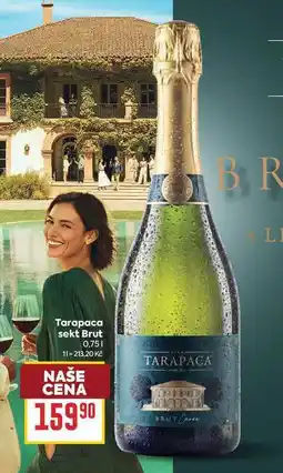Billa Тагараса sekt Brut nabídka