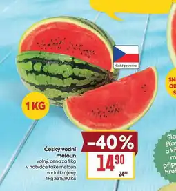 Billa Český vodní meloun volný, cena za nabídka