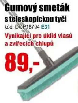 EVA Gumový smeták s teleskopickou tyčí nabídka