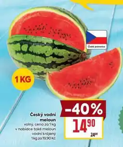 Billa Český vodní meloun nabídka
