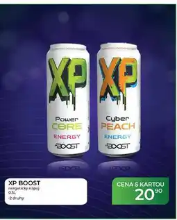 Tamda Foods XP BOOST energetický nápoj 0,5L -2 druhy nabídka