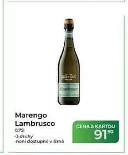 Tamda Foods Marengo Lambrusco 0,751 -3 druhy nabídka
