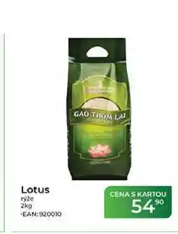 Tamda Foods Lotus nabídka