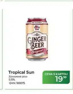 Tamda Foods Tropical Sun Zázvorové pivo nabídka