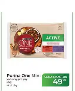 Tamda Foods Purina One Mini CENAS KARTOU kapsičky pro psy nabídka