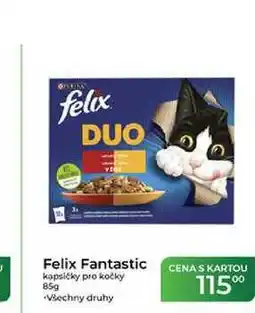 Tamda Foods Felix Fantastic kapsičky pro kočky nabídka