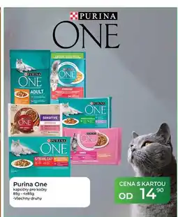 Tamda Foods Purina One kapsičky pro kočky 85g nabídka