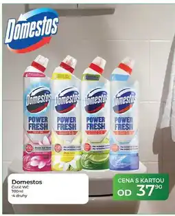 Tamda Foods Domestos Čistič WC nabídka