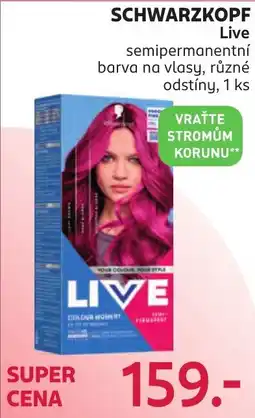 Rossmann Schwarzkopf Live nabídka