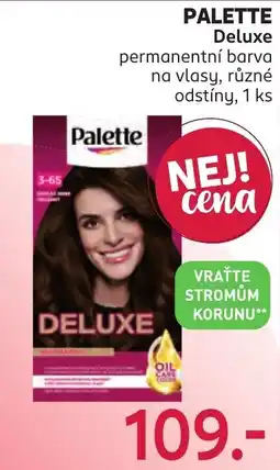 Rossmann Palette Deluxe nabídka