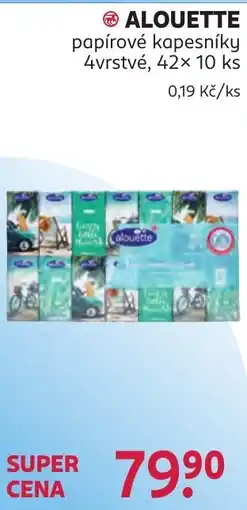 Rossmann Alouette papírové kapesníky nabídka