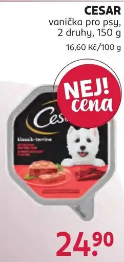 Rossmann Cesar vanička pro psy nabídka