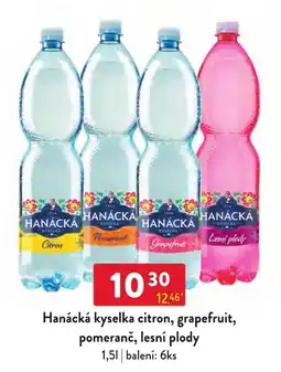 Qanto Hanácká kyselka citron, grapefruit, pomeranč, lesní plody nabídka